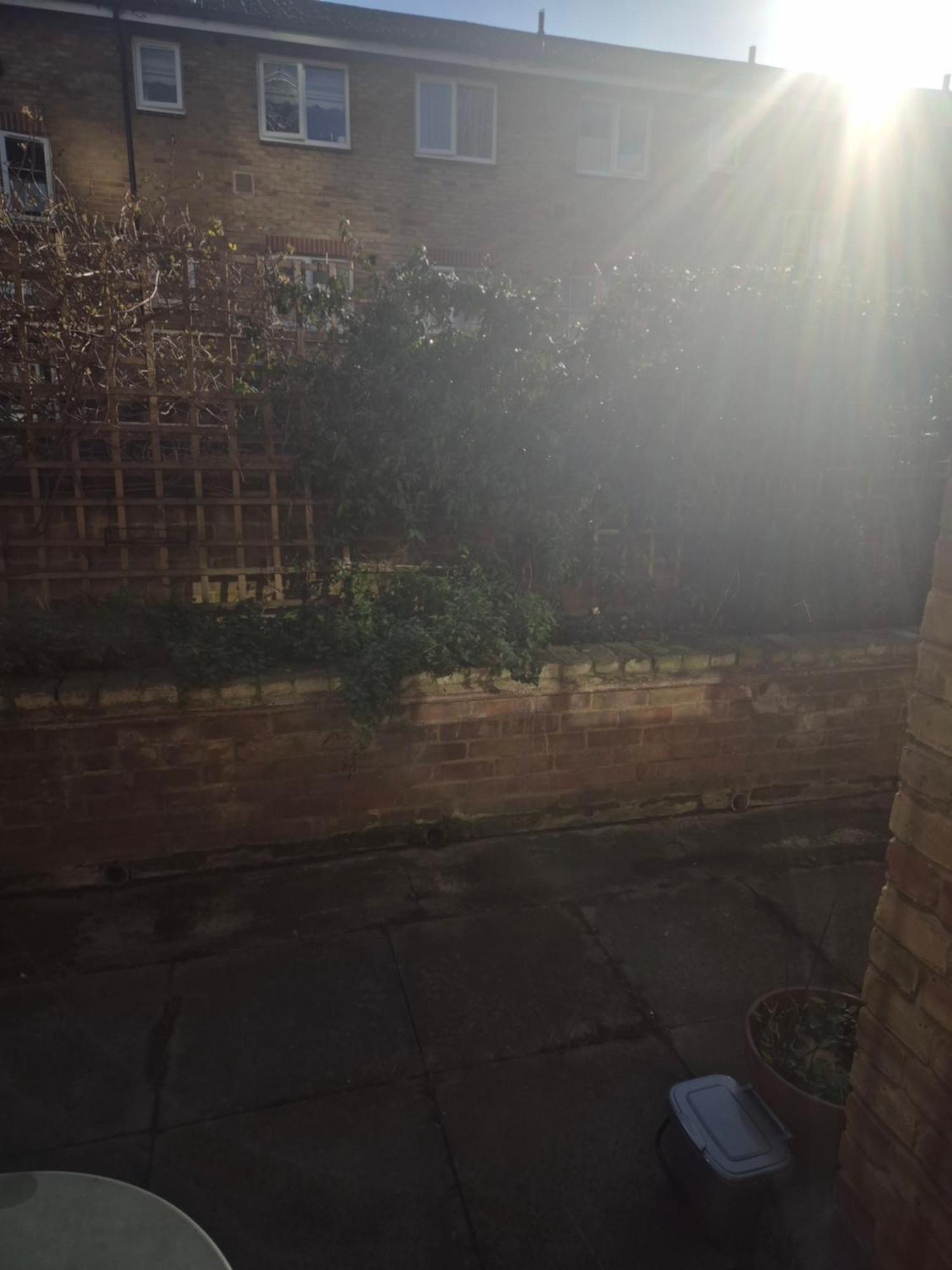 Luxury One Bedroom Flat London Exterior photo